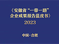 蓝皮书｜尊龙凯时汽车：车企“生态”出海样本